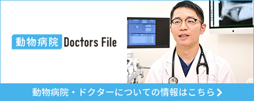 Doctors File インタビュー